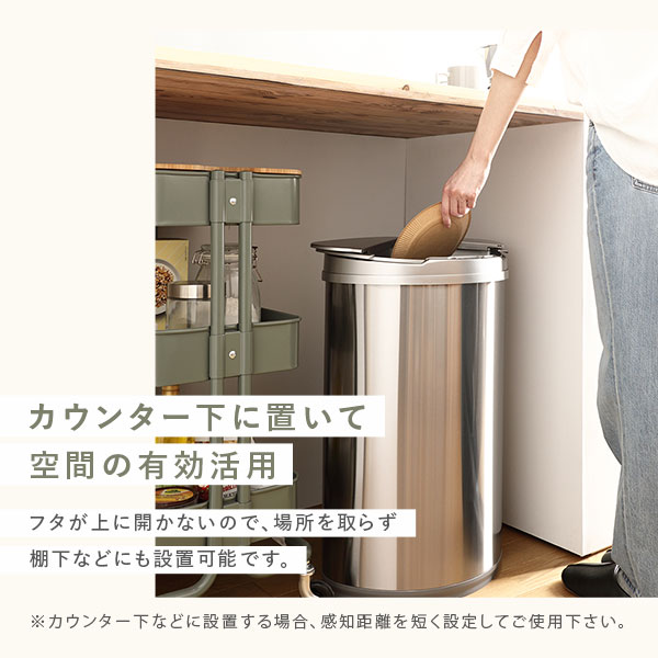 ゴミ箱 ダストボックス 約幅42cm 47L 大容量 横開き ステンレス