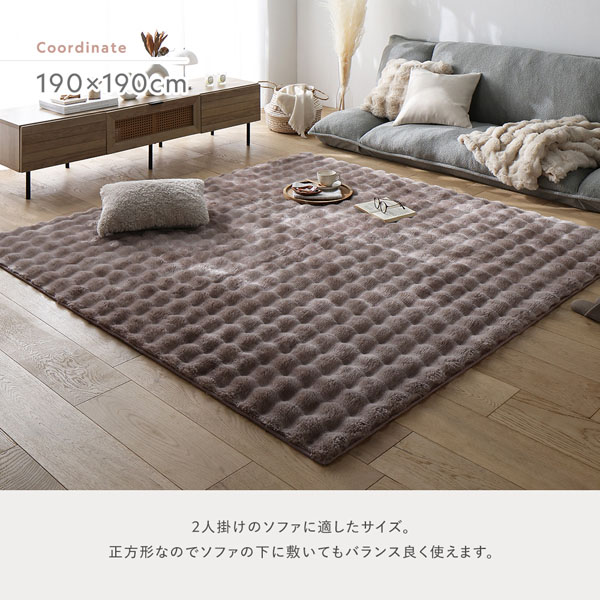 ふわもこ ラグ 約190×190cm グレー 洗える 抗菌 消臭 ペット臭 滑り