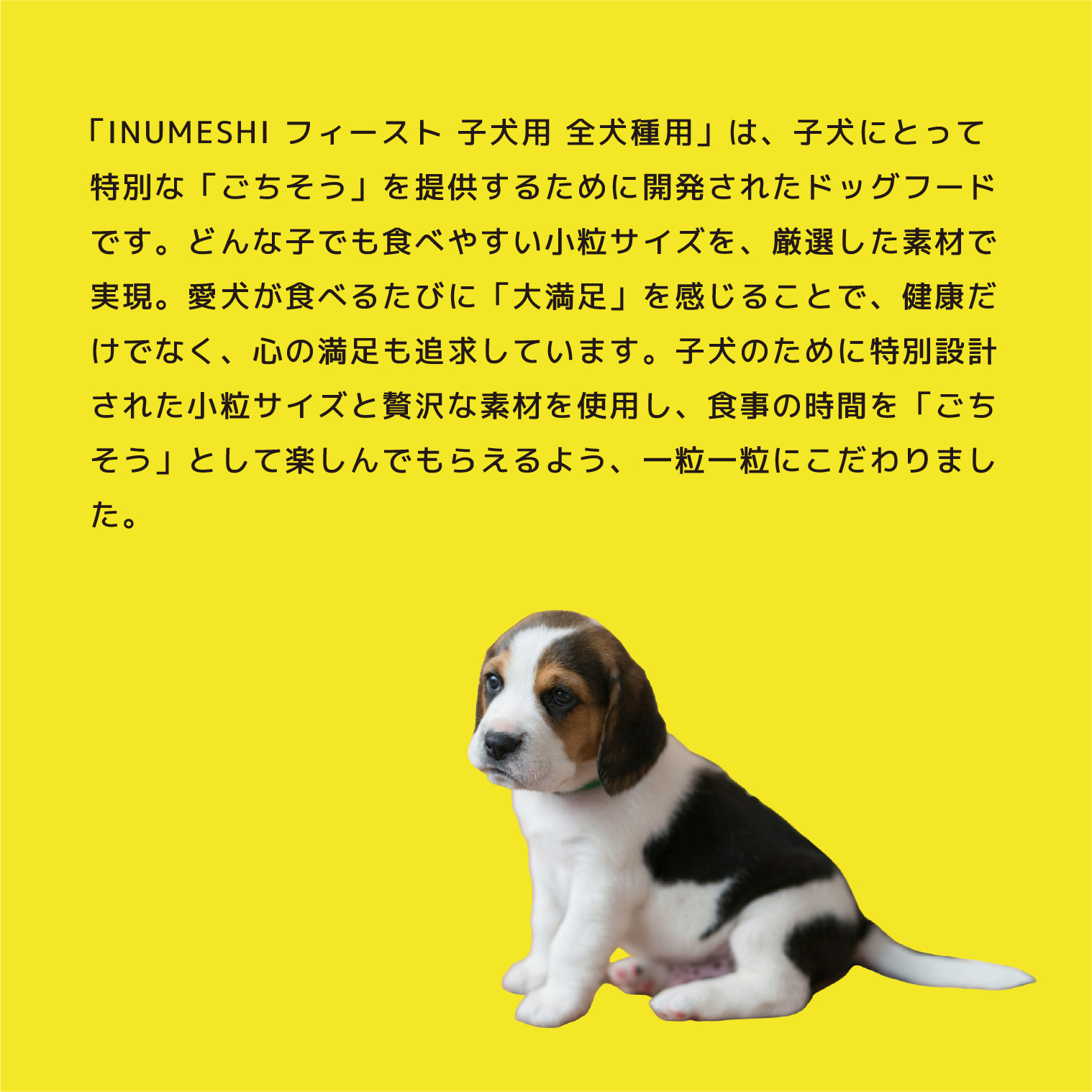 INUMESHI フィースト 子犬用 全犬種用 15kg ブリーダーパック 