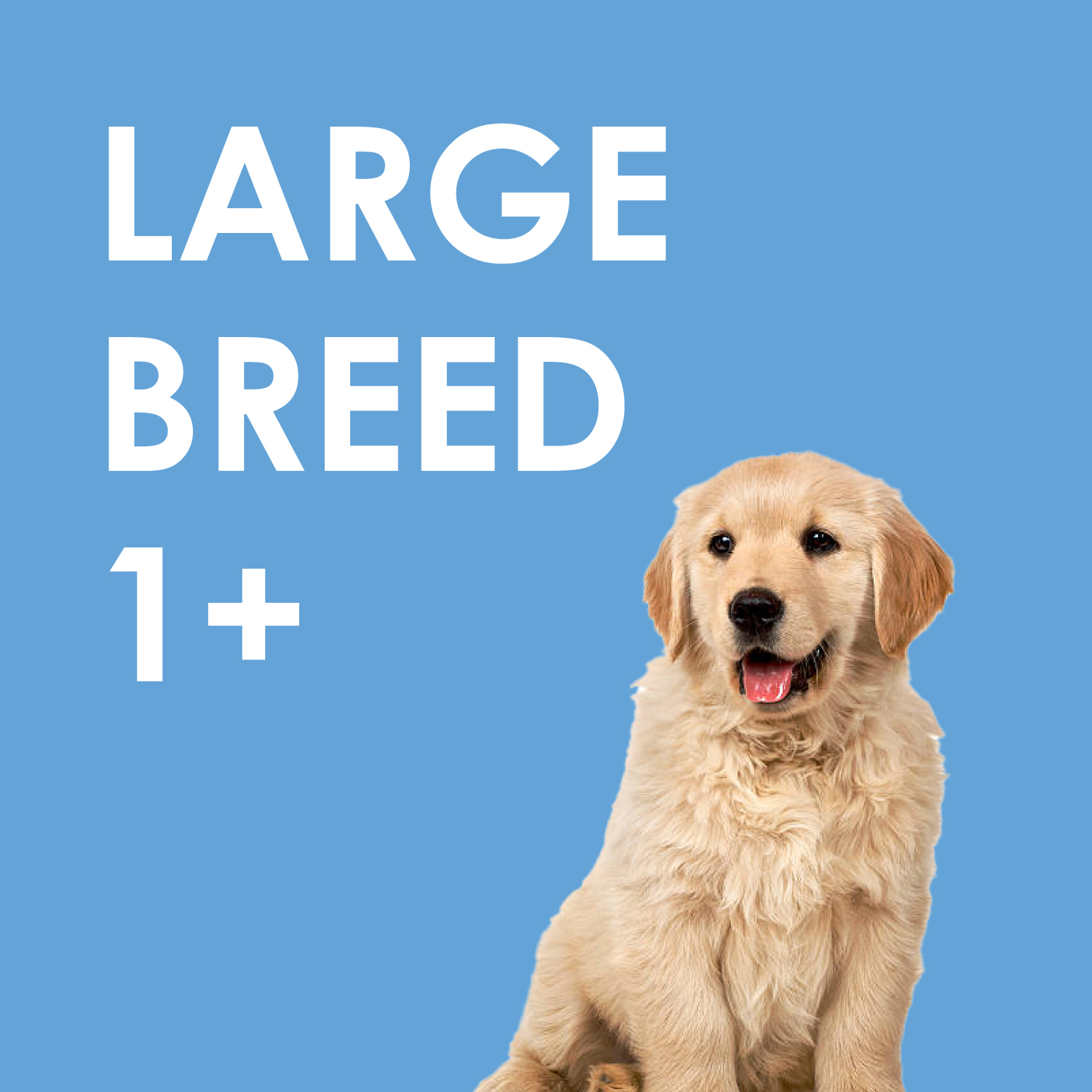 INUMESHI,Feast,フィースト,フィースト,子犬用,大型犬用