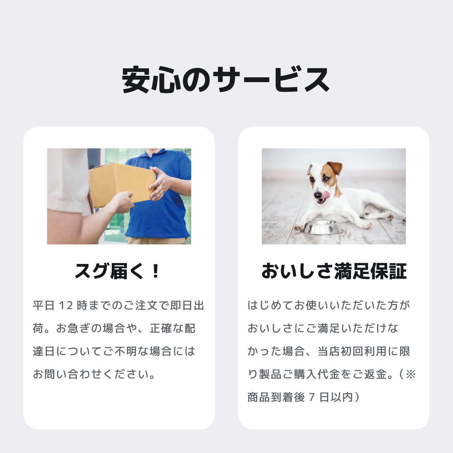 INUMESHI,Feast,フィースト,フィースト,子犬用,大型犬用