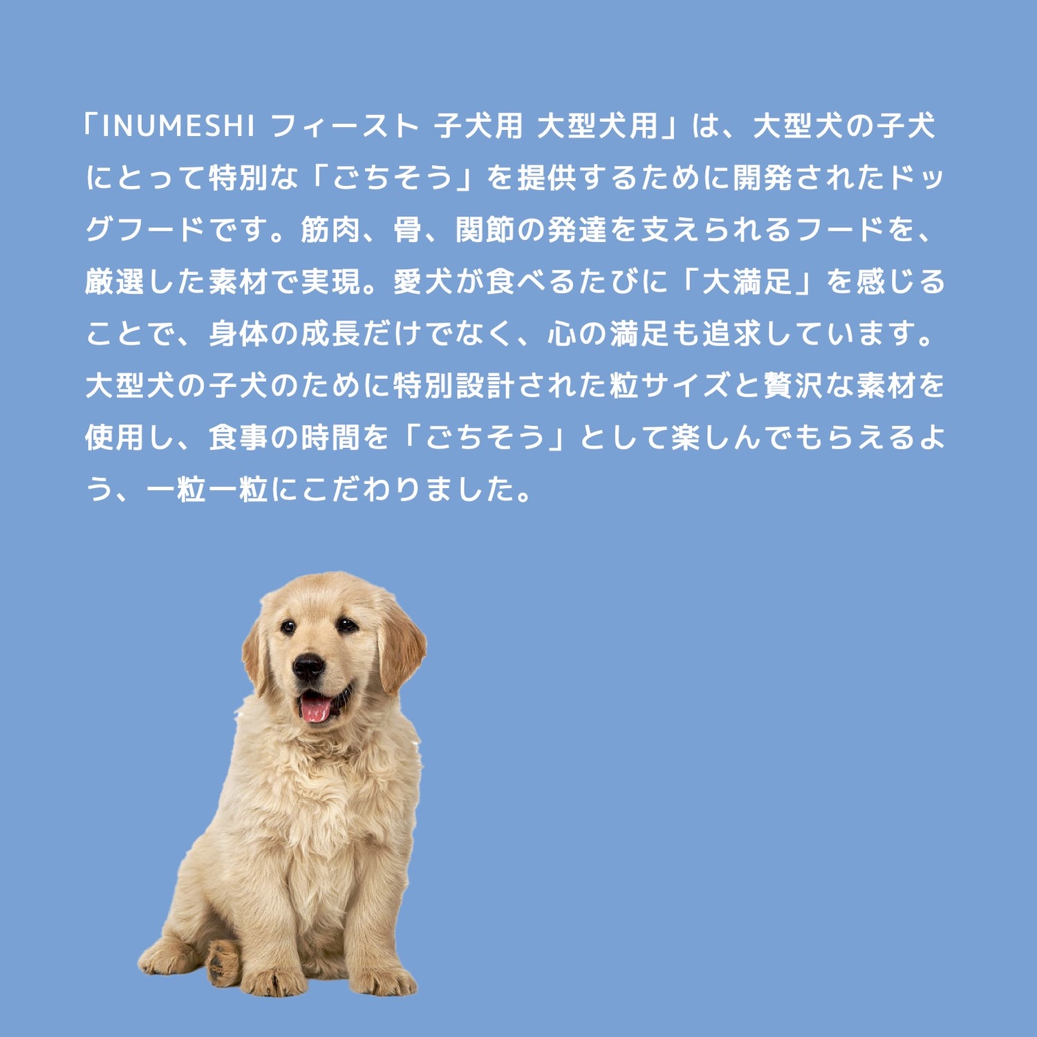 INUMESHI,Feast,フィースト,フィースト,子犬用,大型犬用