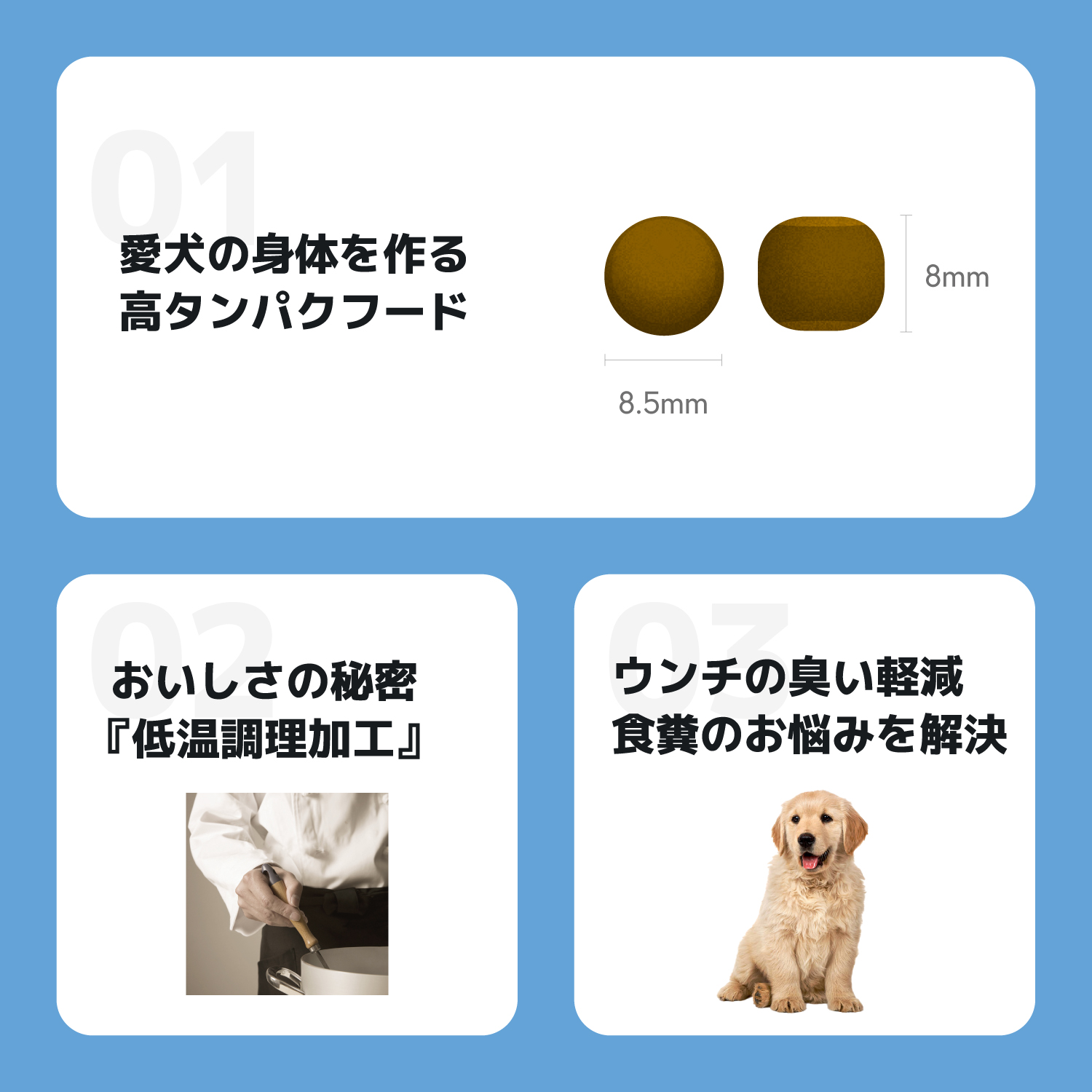 INUMESHI,Feast,フィースト,フィースト,子犬用,大型犬用