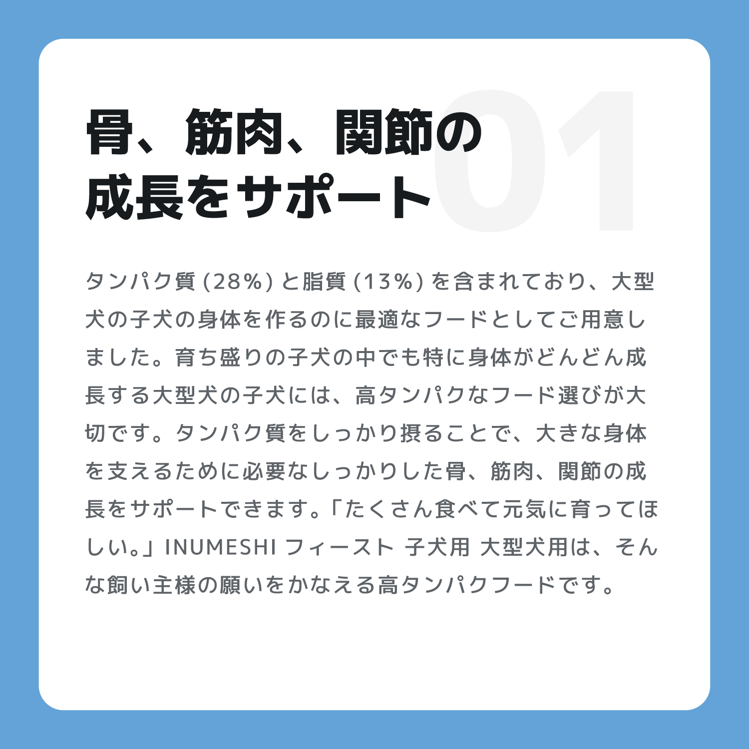 INUMESHI,Feast,フィースト,フィースト,子犬用,大型犬用
