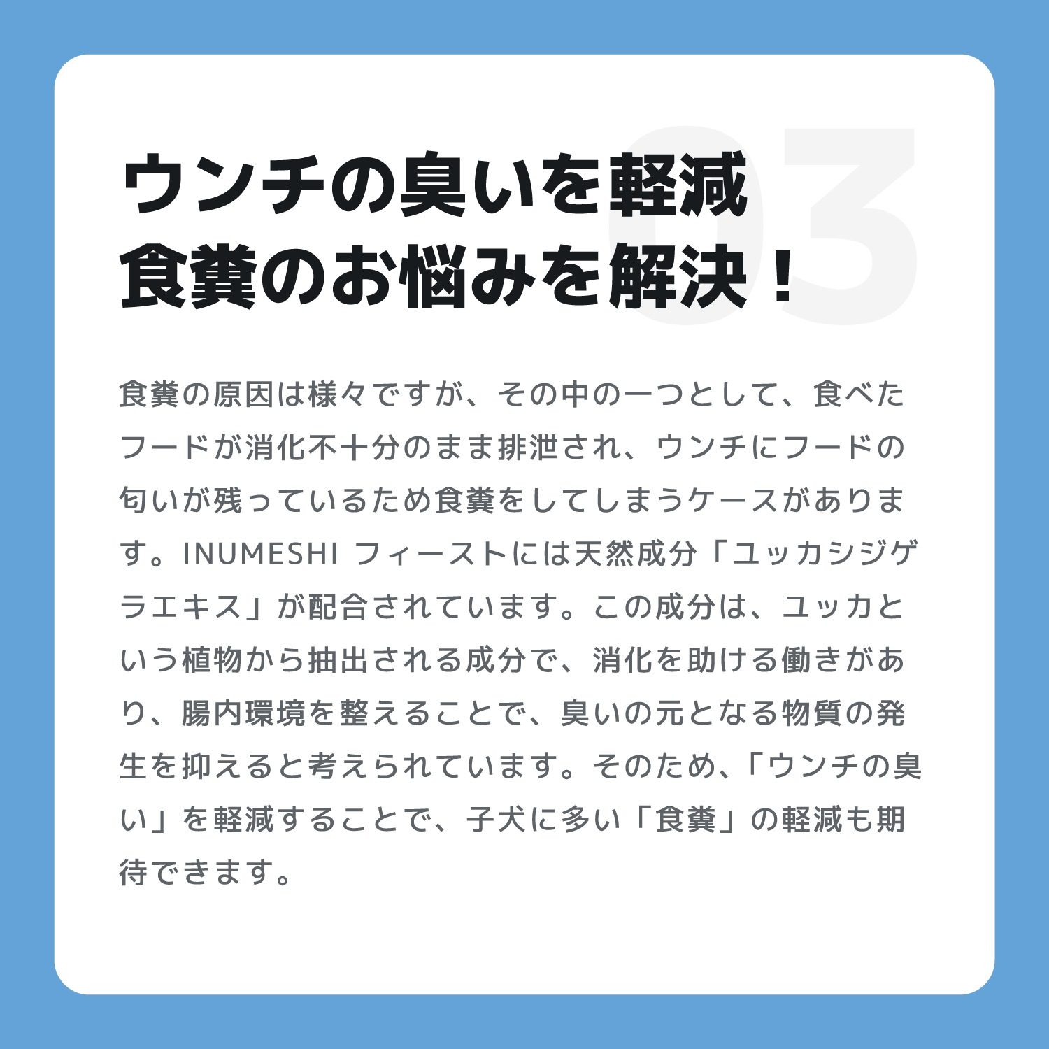INUMESHI,Feast,フィースト,フィースト,子犬用,大型犬用
