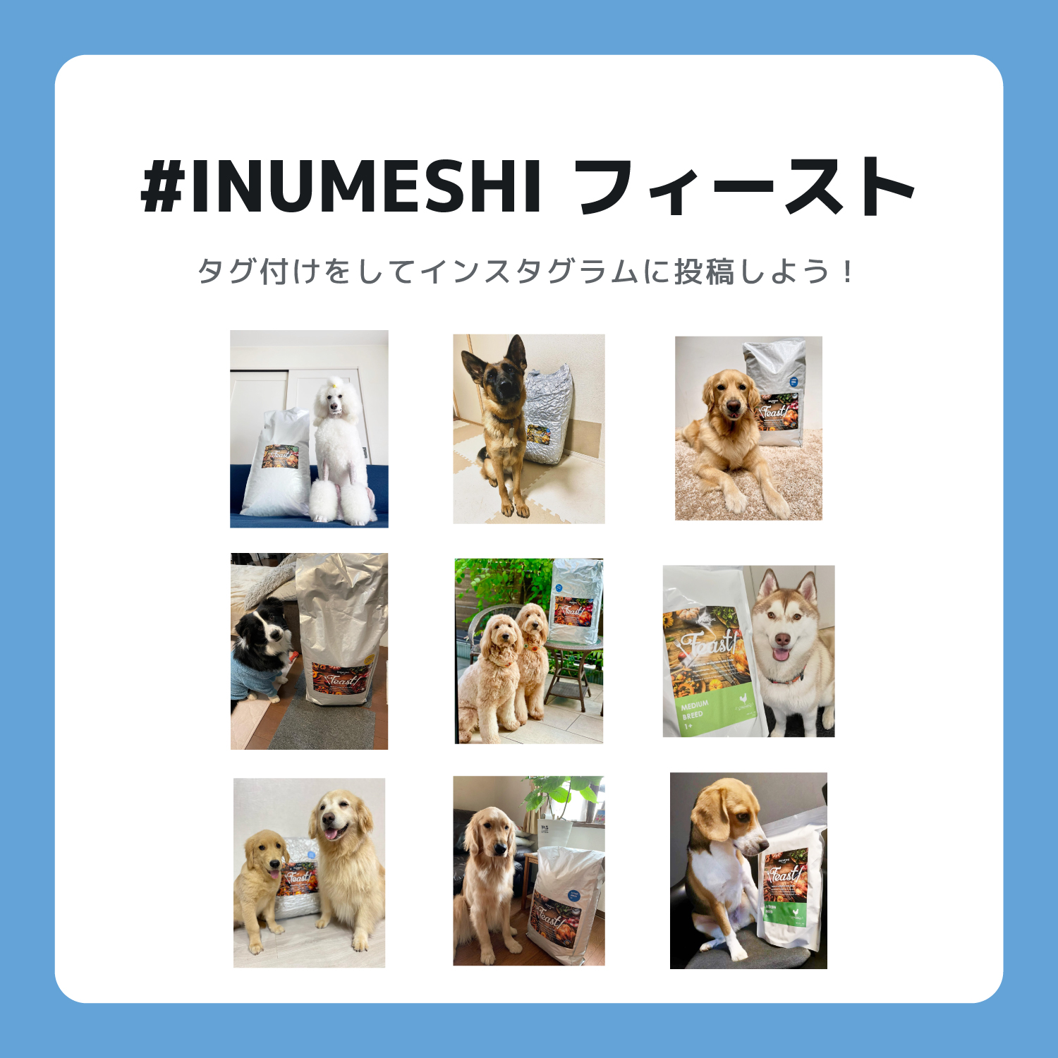 INUMESHI,Feast,フィースト,フィースト,子犬用,大型犬用