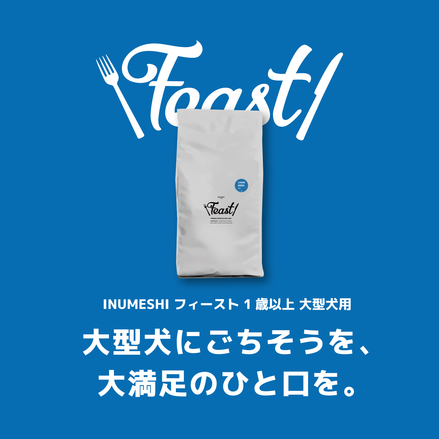 INUMESHI,Feast,フィースト,フィースト,1歳以上,大型犬用