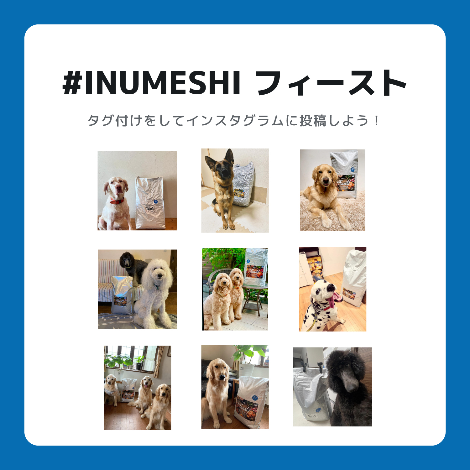 INUMESHI,Feast,フィースト,フィースト,1歳以上,大型犬用