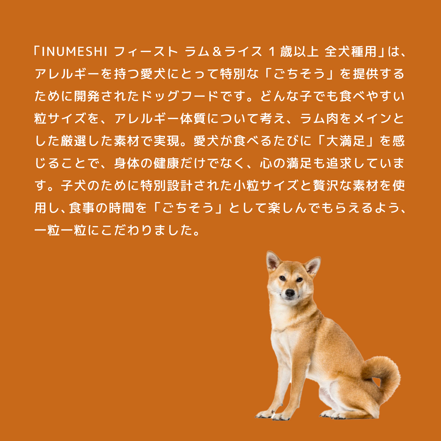 INUMESHI フィースト ラム&ライス 1歳以上 全犬種用 15kg ブリーダー