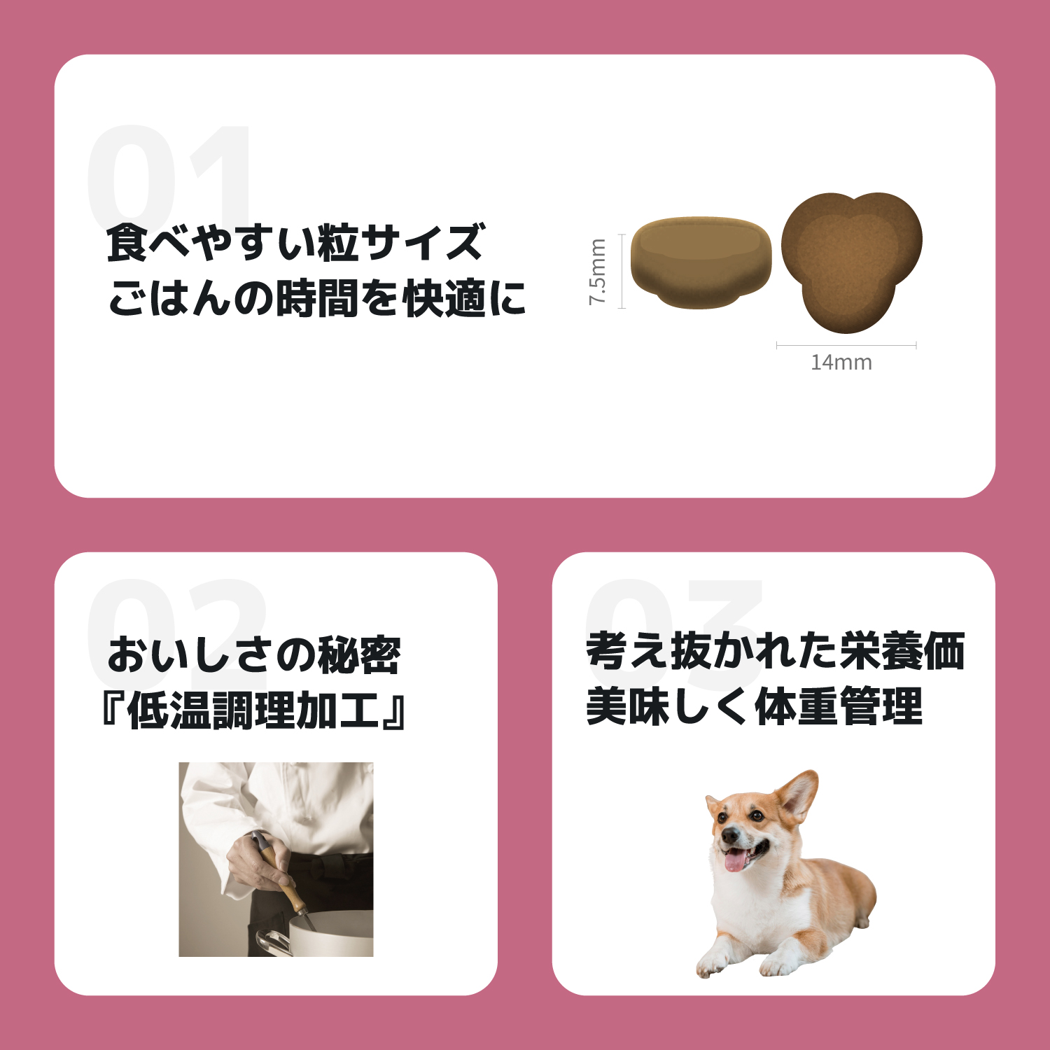 INUMESHI・フィースト　体重管理用・1歳以上　全犬種用　15kg INUMESHI フィースト 体重管理用 1歳以上 全犬種用 15kg ブリーダー