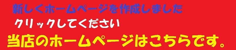 Dreamer 1/6フィギュア用衣装 女性用 Killer デニムカスタムセット