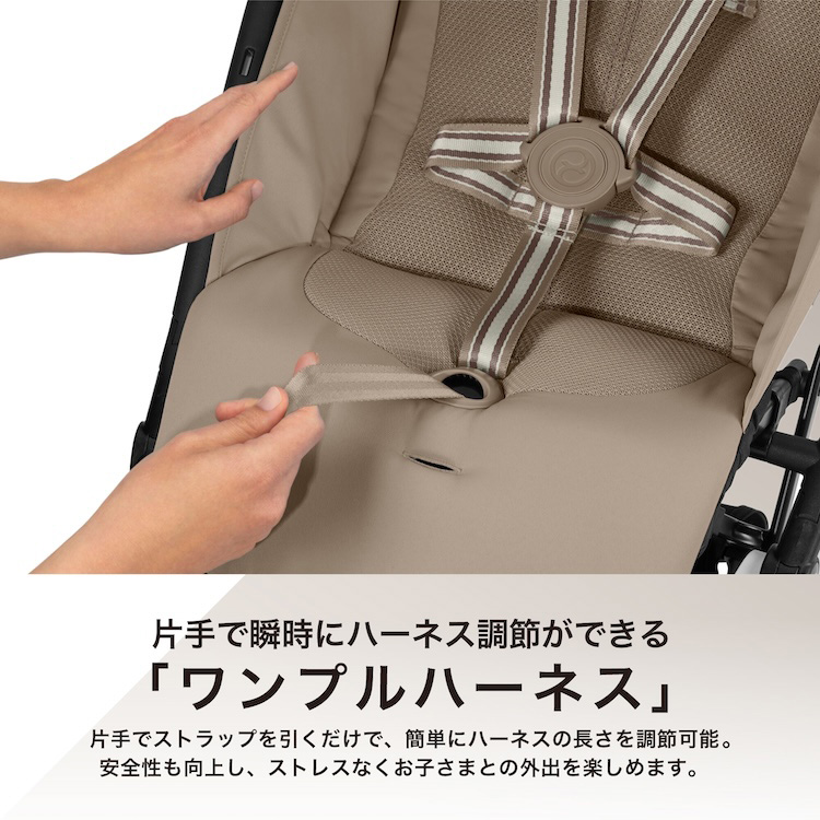 リベル フォググレー 2024年モデルカラー ( 1台 )/ サイベックス