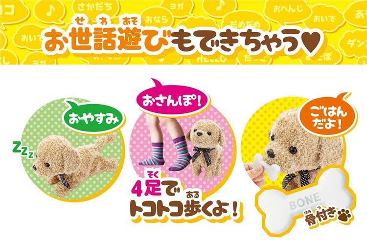 ココさかだちして アプリコット ( 1個 )/ セガフェイブ