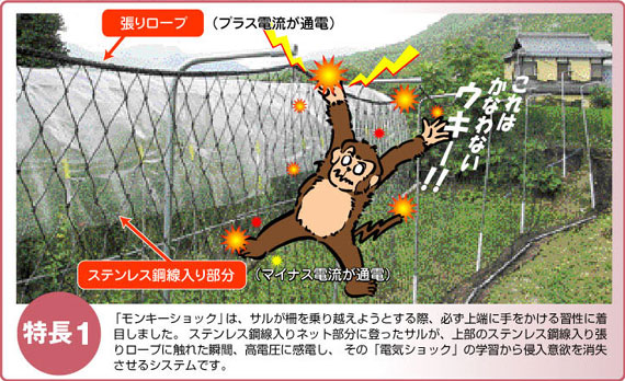 猿害防止電気柵　モンキーショック
