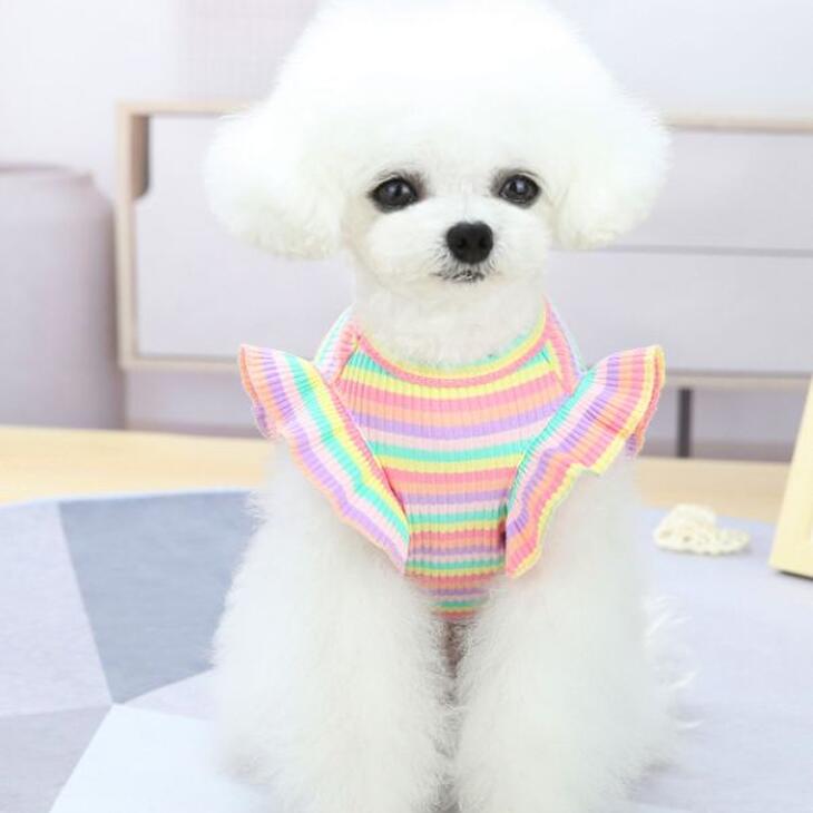 超可愛い! 犬 服 ペット服 お散歩 抜け毛防止 ドッグウェア ペットウェア エメリール Tシャツ カットソー サイズ豊富（S-2XL）メール便OK 【a050】【送料無料】 |  | 01