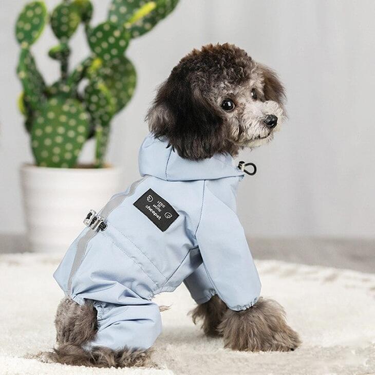 【最終値下げ】【雨対策】犬用レインコート おしゃれ 秋服 新作 フード付きウィンドブレーカー 超可愛いペットウェア サイズ豊富 メール便OK【a095】 |  | 02