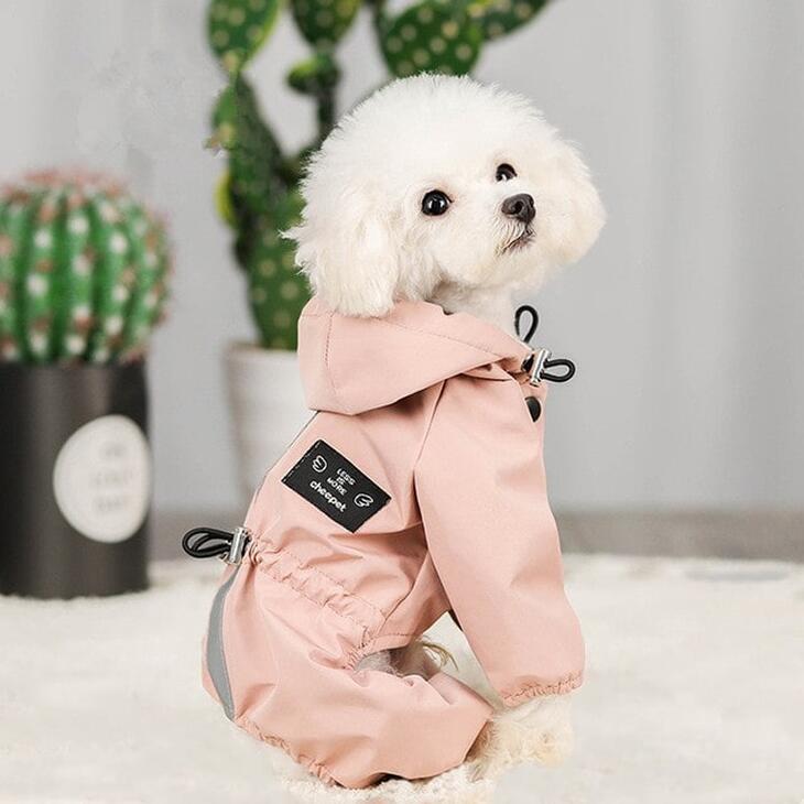 【最終値下げ】【雨対策】犬用レインコート おしゃれ 秋服 新作 フード付きウィンドブレーカー 超可愛いペットウェア サイズ豊富 メール便OK【a095】 |  | 01