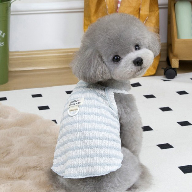 NEW! 新作 超!可愛い 春夏 春犬猫服 小型犬服 キャミソール ボーダー プチプラ Dカン付き 春トップス 犬用品【a437】 |  | 03