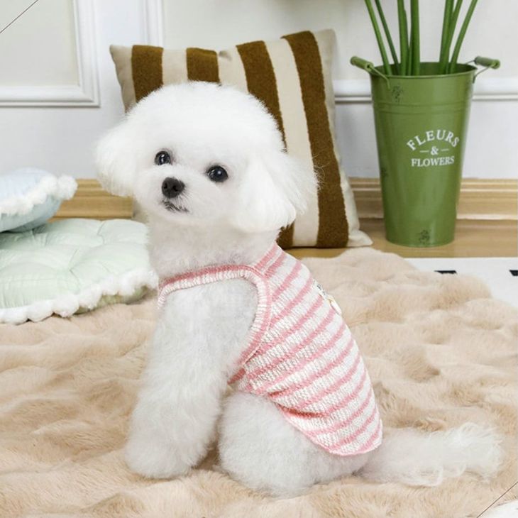 NEW! 新作 超!可愛い 春夏 春犬猫服 小型犬服 キャミソール ボーダー プチプラ Dカン付き 春トップス 犬用品【a437】 |  | 01