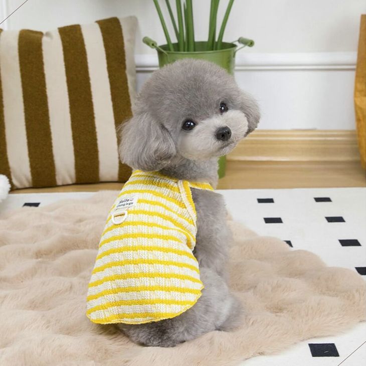 NEW! 新作 超!可愛い 春夏 春犬猫服 小型犬服 キャミソール ボーダー プチプラ Dカン付き 春トップス 犬用品【a437】 |  | 02