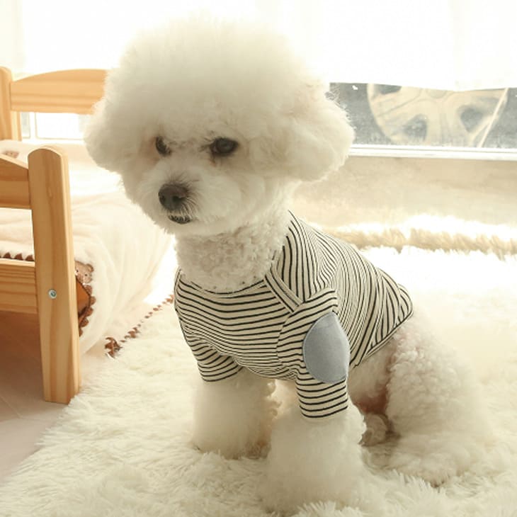 秋冬新作 超!可愛い 秋服 犬服 小型犬服 カットソー ユニセックス お出かけ【a472】 |  | 01