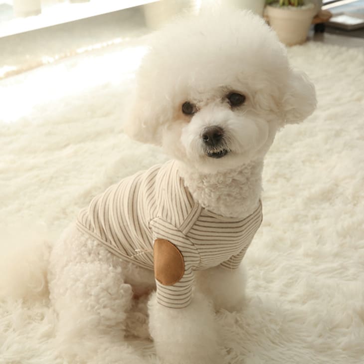 秋冬新作 超!可愛い 秋服 犬服 小型犬服 カットソー ユニセックス お出かけ【a472】 |  | 03