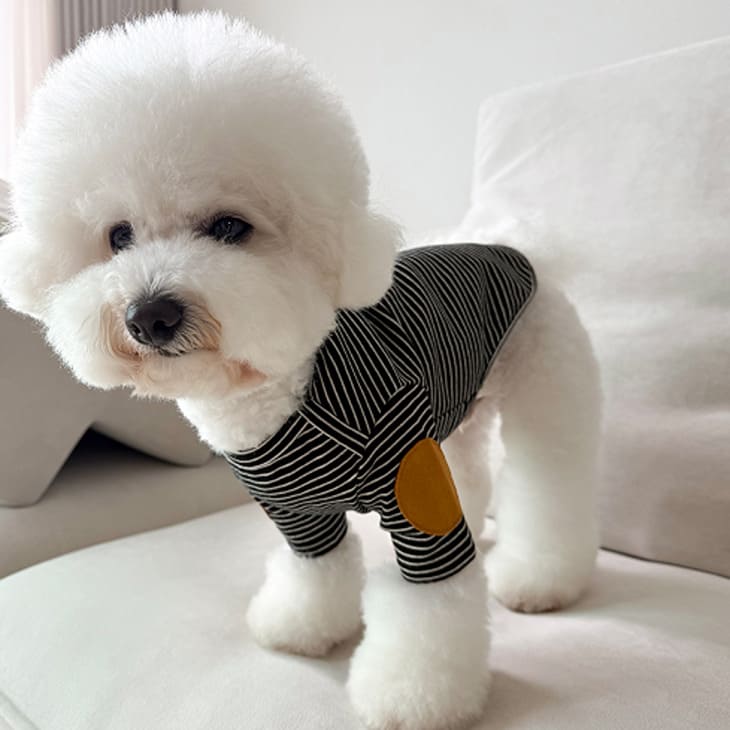 秋冬新作 超!可愛い 秋服 犬服 小型犬服 カットソー ユニセックス お出かけ【a472】 |  | 02