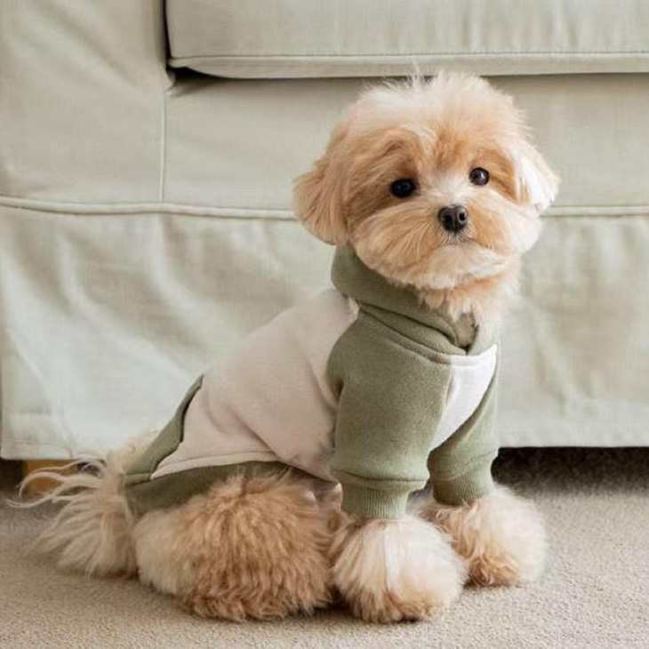 冬 犬服 超可愛い! 冬新作 フーディー くすみカラー 小型犬 犬服 ペットウェア カットソー お散歩【a476】 |  | 04