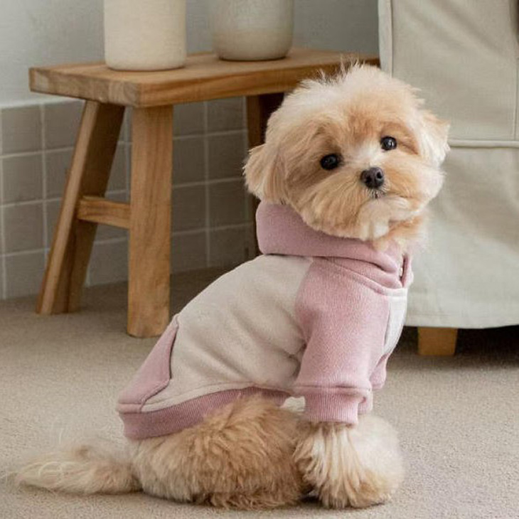 冬 犬服 超可愛い! 冬新作 フーディー くすみカラー 小型犬 犬服 ペットウェア カットソー お散歩【a476】 |  | 03