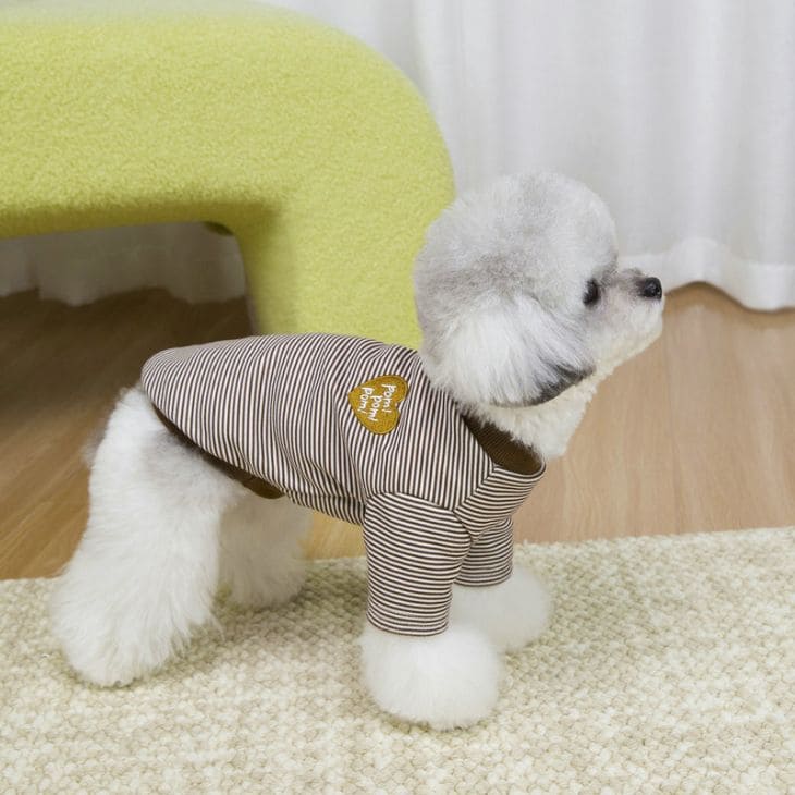 犬服 秋冬 小型犬 中型犬 カットソー ドッグウェア ボーダー柄 ハート刺繍 ロゴワッペン 猫用 スポーティ アクティブ しっかり生地【a489】 |  | 01