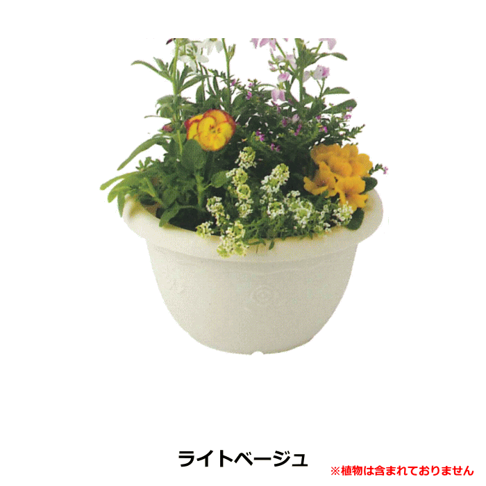 キンリョウヘン（植木鉢、プランター）｜園芸用品 | 花、ガーデニング