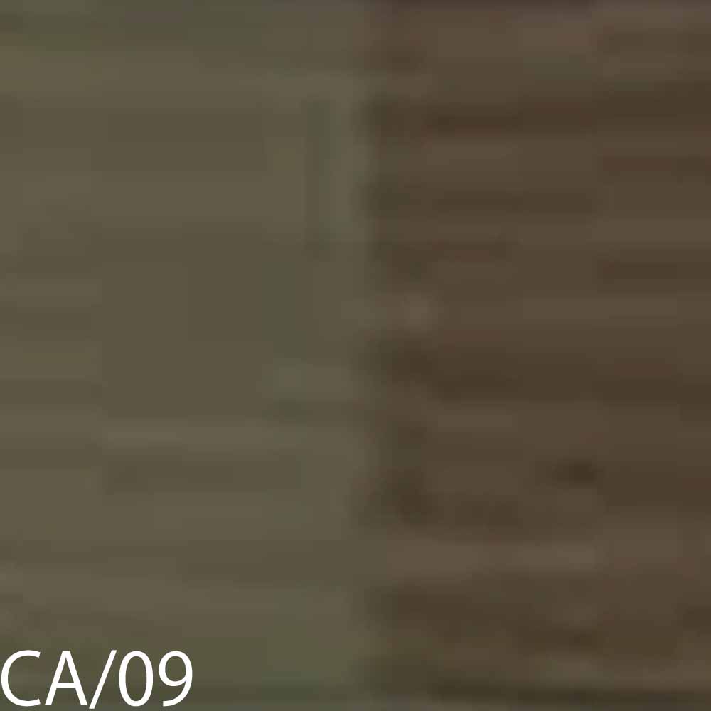 b-ex スロウ コンフォートカラー 第1剤 CA コンフォートアッシュ 100g ビーエックス | ブランド登録なし | 04