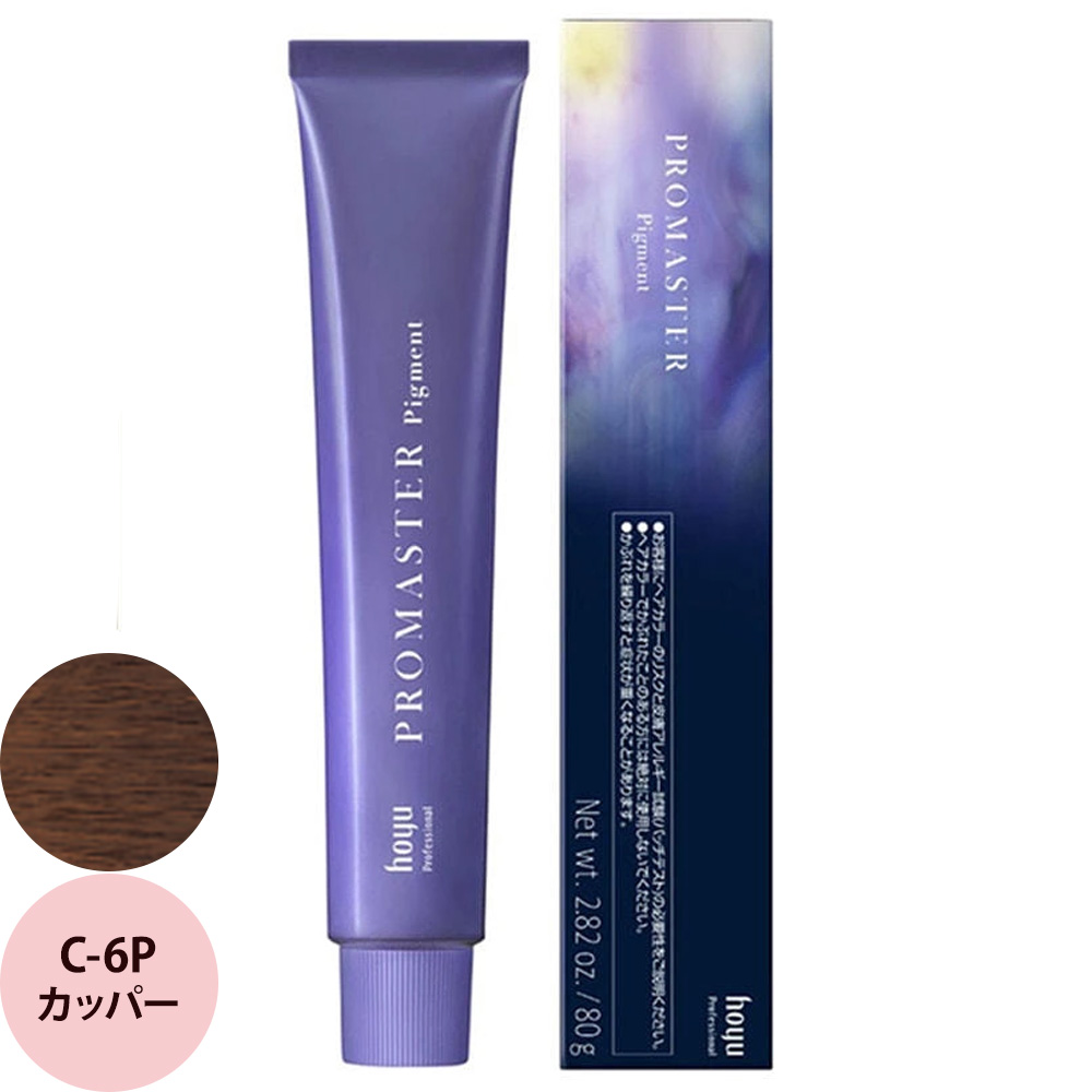 ホーユー プロフェッショナル プロマスター ピグメント ベーシックカラー C カッパー 80g | hoyu | 01