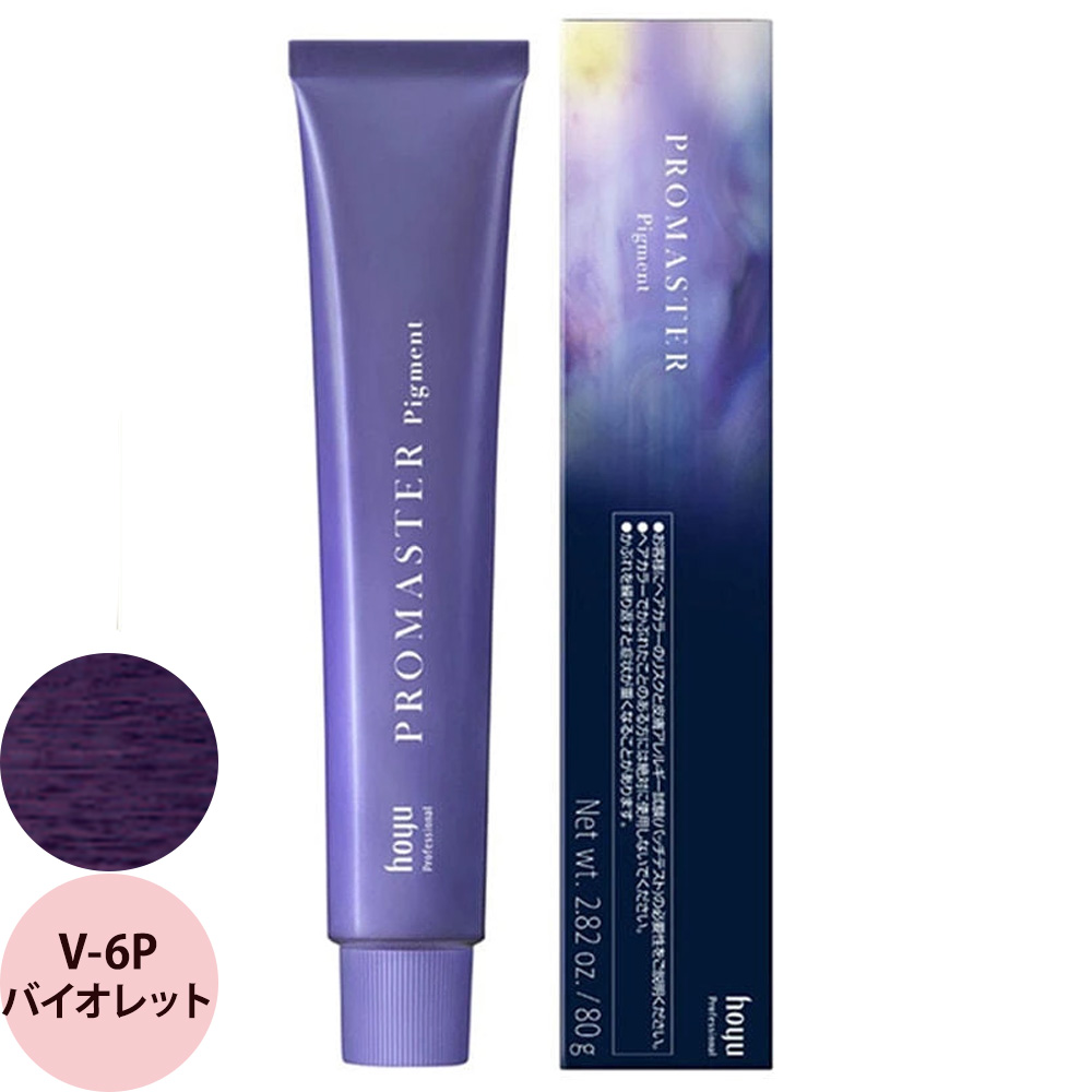 ホーユー プロフェッショナル プロマスター ピグメント ベーシックカラー V バイオレット 80g | hoyu | 01