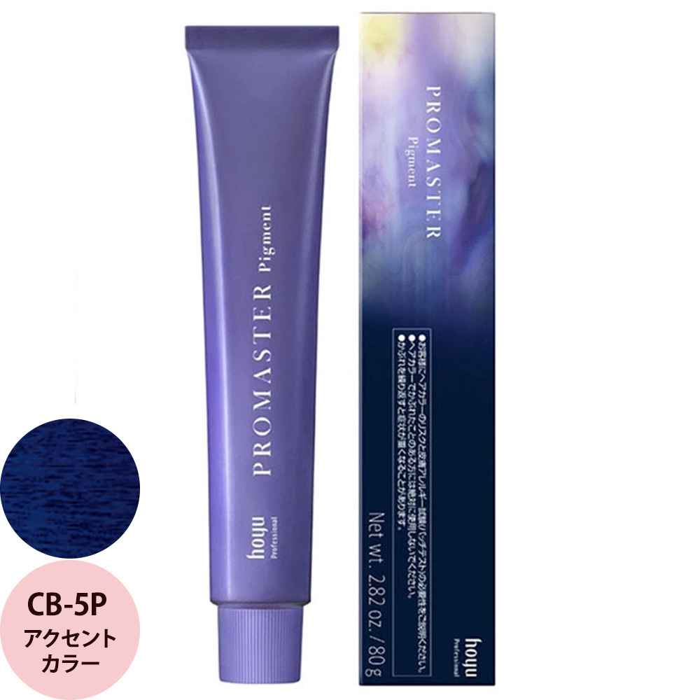 ホーユー プロフェッショナル プロマスター ピグメント アクセントカラー 80g | hoyu | 01