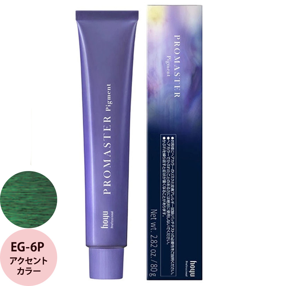 ホーユー プロフェッショナル プロマスター ピグメント アクセントカラー 80g | hoyu | 02