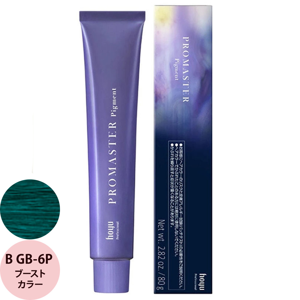 ホーユー プロフェッショナル プロマスター ピグメント ブーストカラー 80g | hoyu | 02