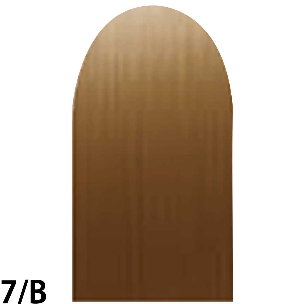 ナンバースリー プロアクション リクロマ 第1剤 ファッションライン ベージュ / 80g 【 ヘアカラー アルカリ性カラー おしゃれ染め 】 | ブランド登録なし | 02