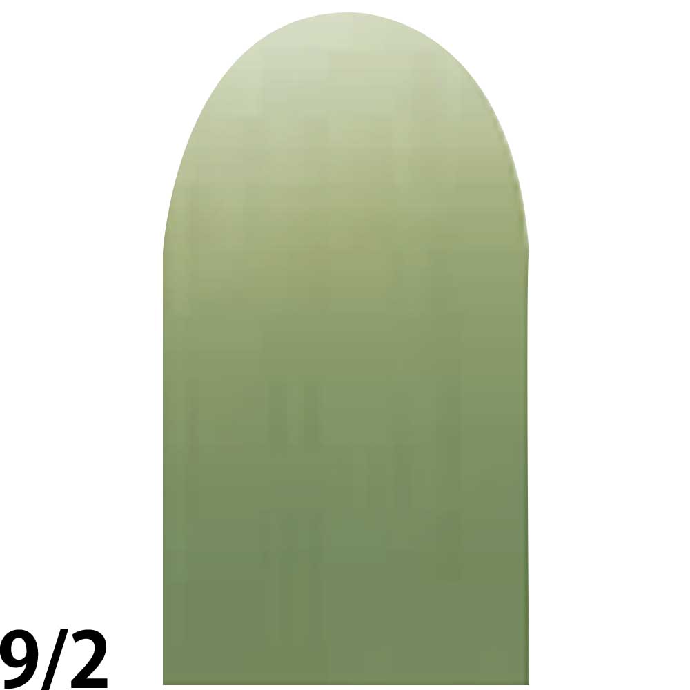 ナンバースリー プロアクション リクロマ 第1剤 ファッションライン ライムグリーン / 80g 【 ヘアカラー アルカリ性カラー おしゃれ染め 】 | ブランド登録なし | 02