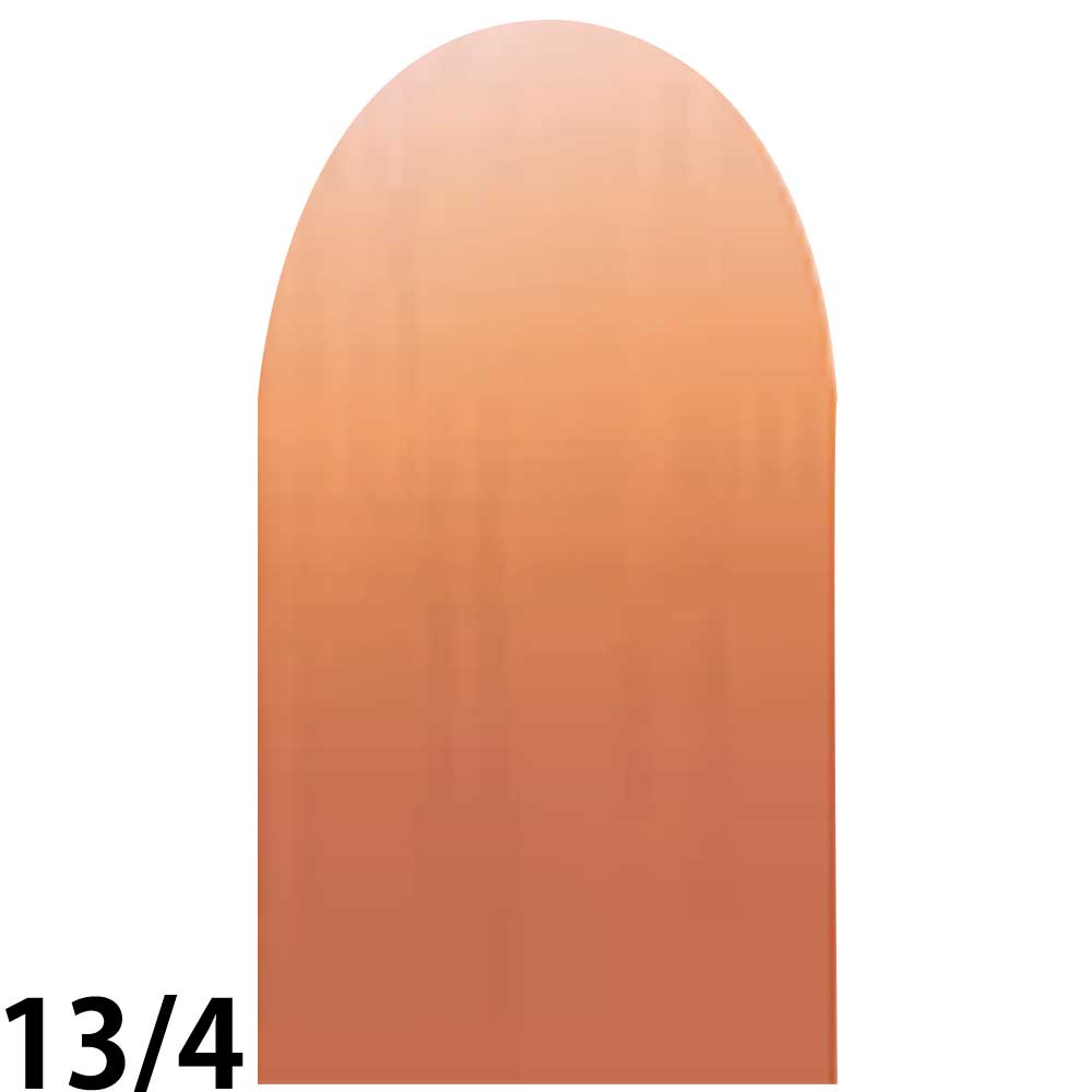 ナンバースリー プロアクション リクロマ 第1剤 ファッションライン フレイムレンジ / 80g 【 ヘアカラー アルカリ性カラー おしゃれ染め 】 | ブランド登録なし | 04