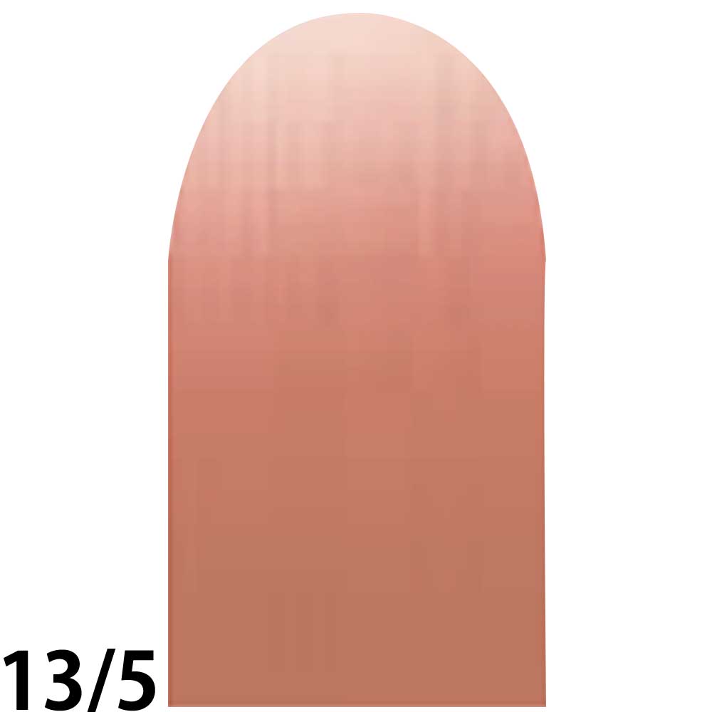 ナンバースリー プロアクション リクロマ 第1剤 ファッションライン フェニックスレッド / 80g 【 ヘアカラー アルカリ性カラー おしゃれ染め 】 | ブランド登録なし | 04