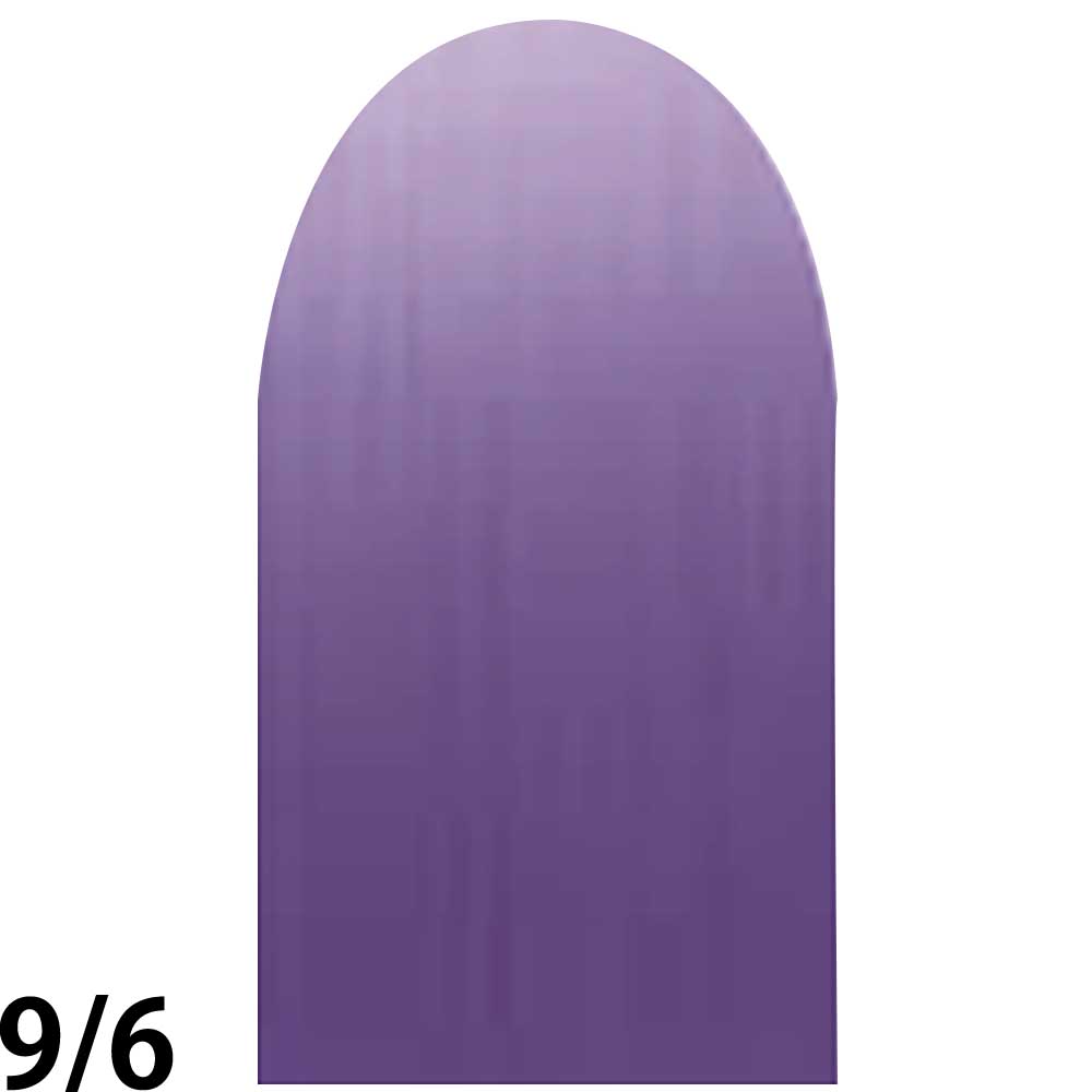 ナンバースリー プロアクション リクロマ 第1剤 ファッションライン ウィステリアバイオレット / 80g 【 ヘアカラー アルカリ性カラー おしゃれ染め 】 | ブランド登録なし | 02