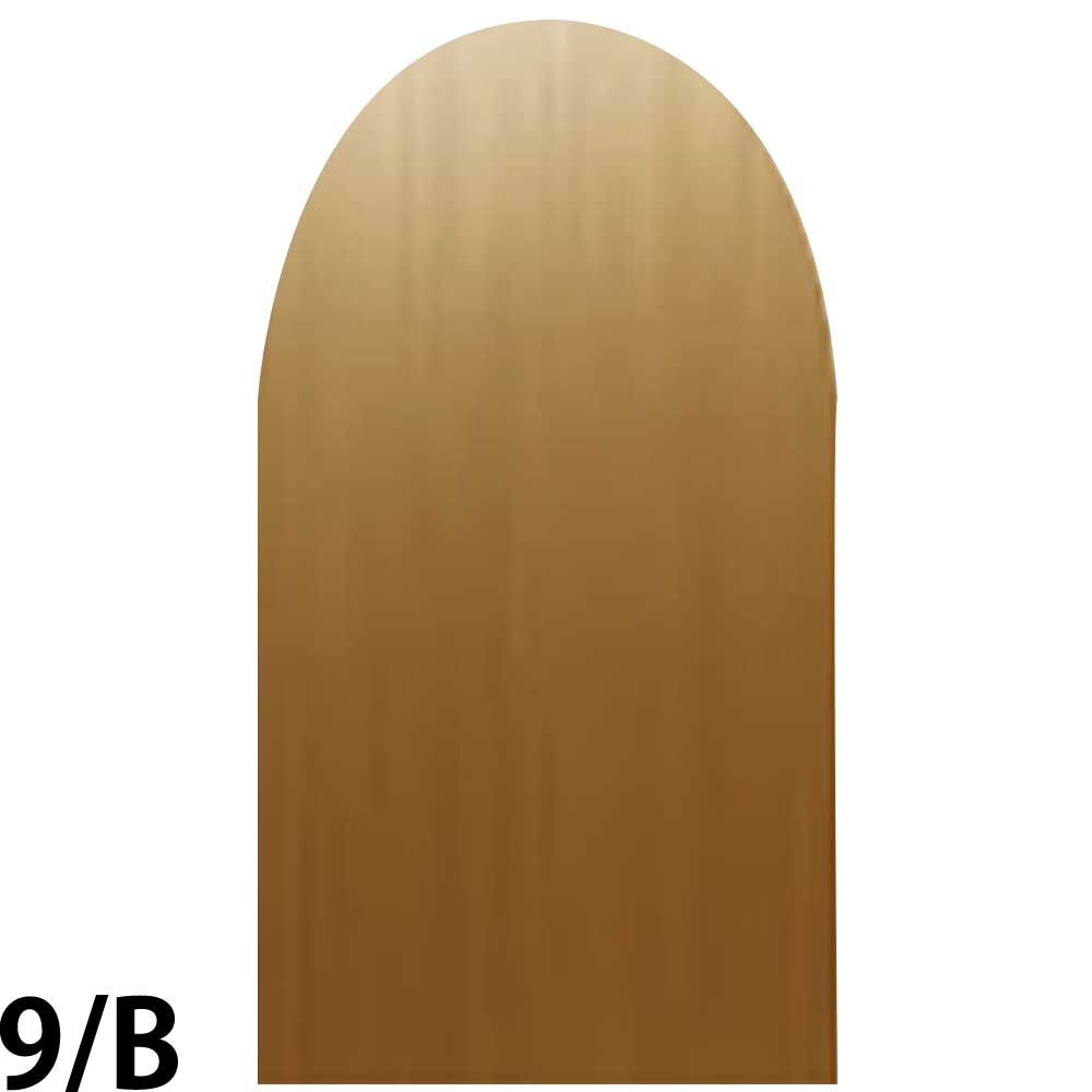 ナンバースリー プロアクション リクロマ Cライン 第1剤 ベージュ / 80g 【 ヘアカラー アルカリ性カラー おしゃれ染め 】 | ブランド登録なし | 03