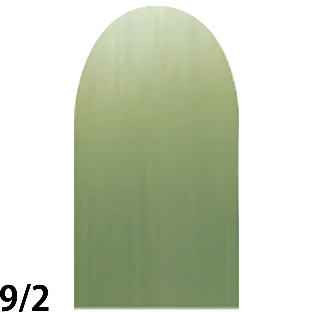 ナンバースリー プロアクション リクロマ Cライン 第1剤 ライムグリーン / 80g 【 ヘアカラー アルカリ性カラー おしゃれ染め 】 | ブランド登録なし | 02