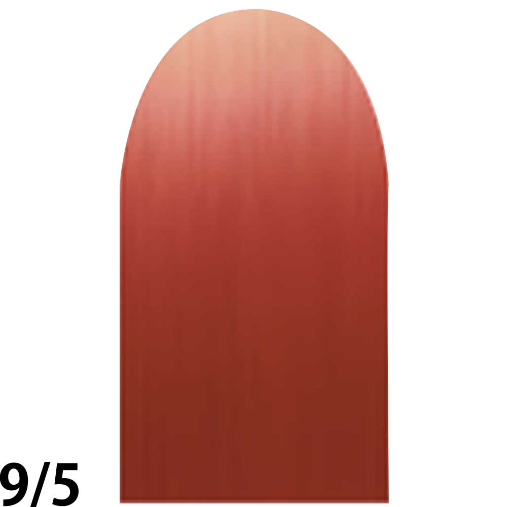 ナンバースリー プロアクション リクロマ Cライン 第1剤 フェニックスレッド / 80g 【 ヘアカラー アルカリ性カラー おしゃれ染め 】 | ブランド登録なし | 02