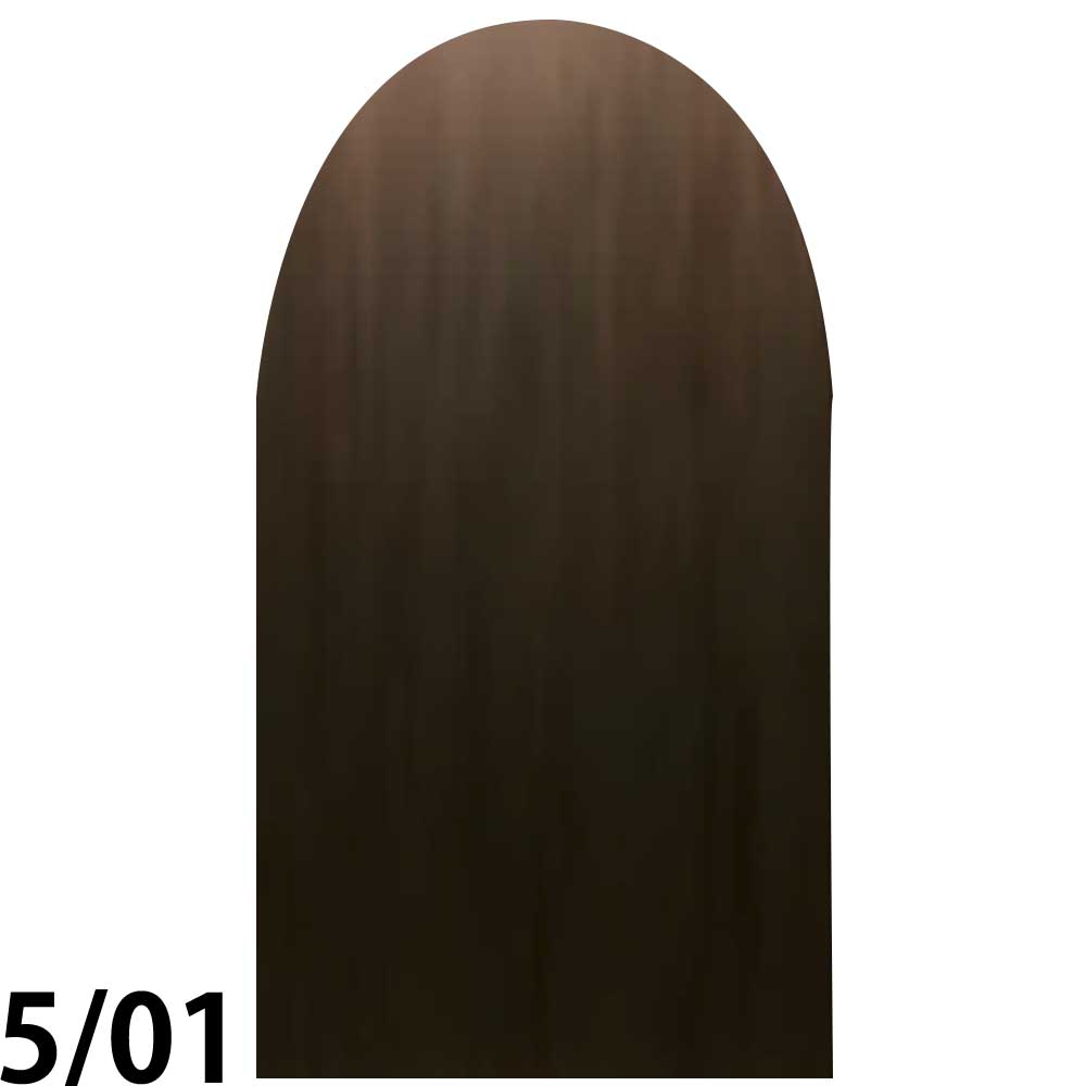 ナンバースリー プロアクション リクロマG グレイファッションライン 第1剤 アッシュブラウン / 80g 【 ヘアカラー アルカリ性カラー 白髪染め 】 | ブランド登録なし | 01