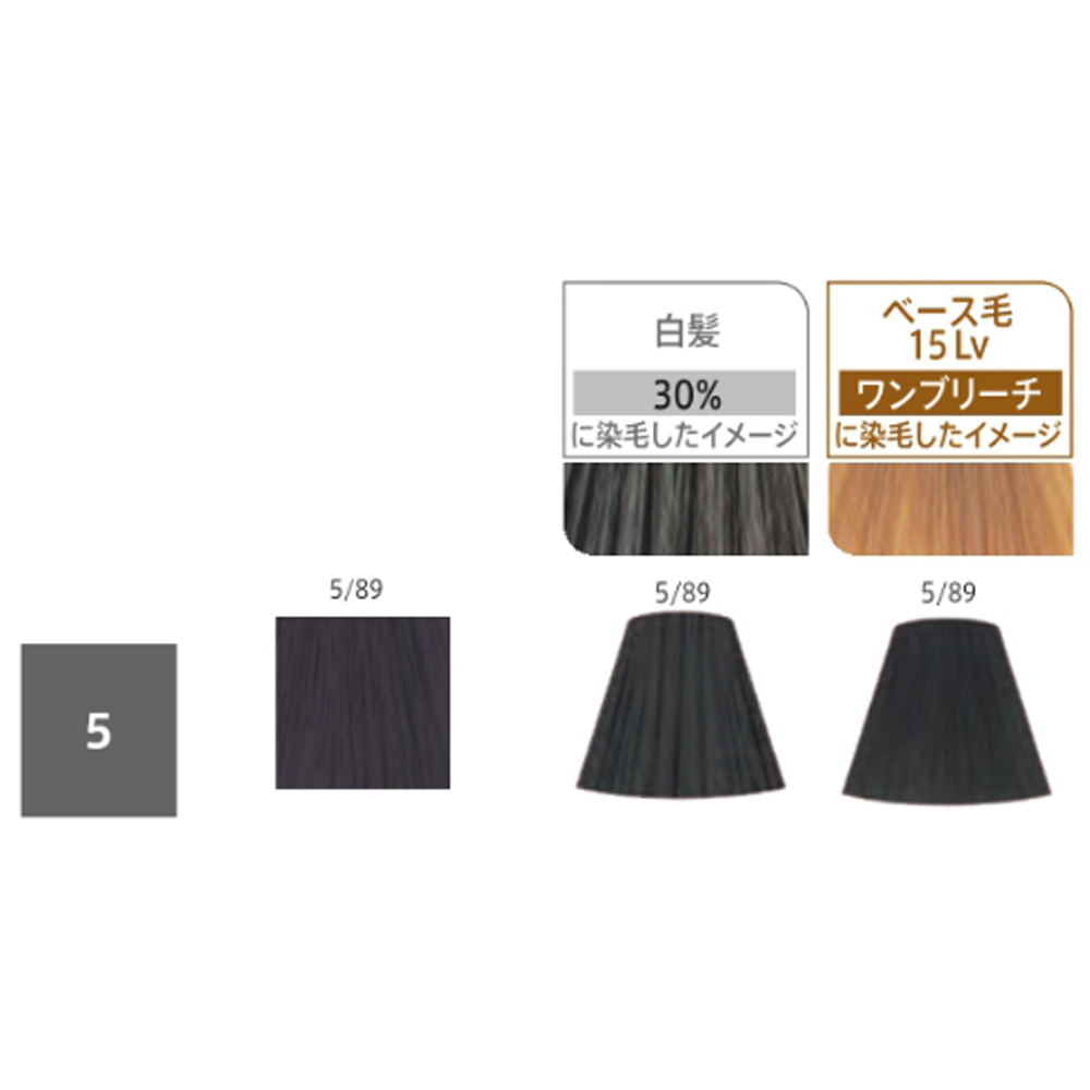 ウエラ コレストン パーフェクトプラス リュクスシルバー / 80g | ウエラ プロフェッショナルケア | 05