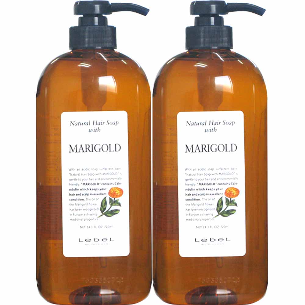 LebeL（ルベル） ナチュラルヘア ソープ ＆ トリートメント 2本セット