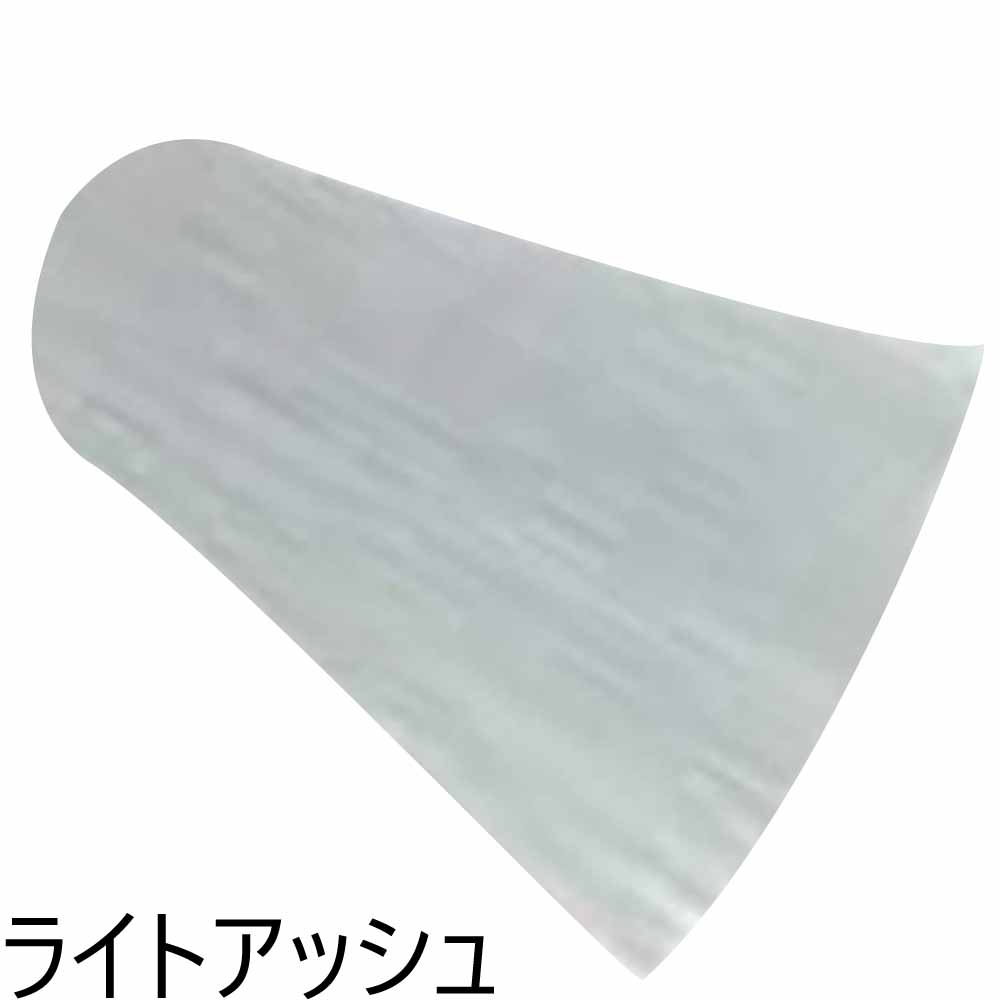 ルベル ロコル ニュアンスライン Ash アッシュ/ 300g 【 ヘアカラー カラートリートメント 】 | LebeL | 02