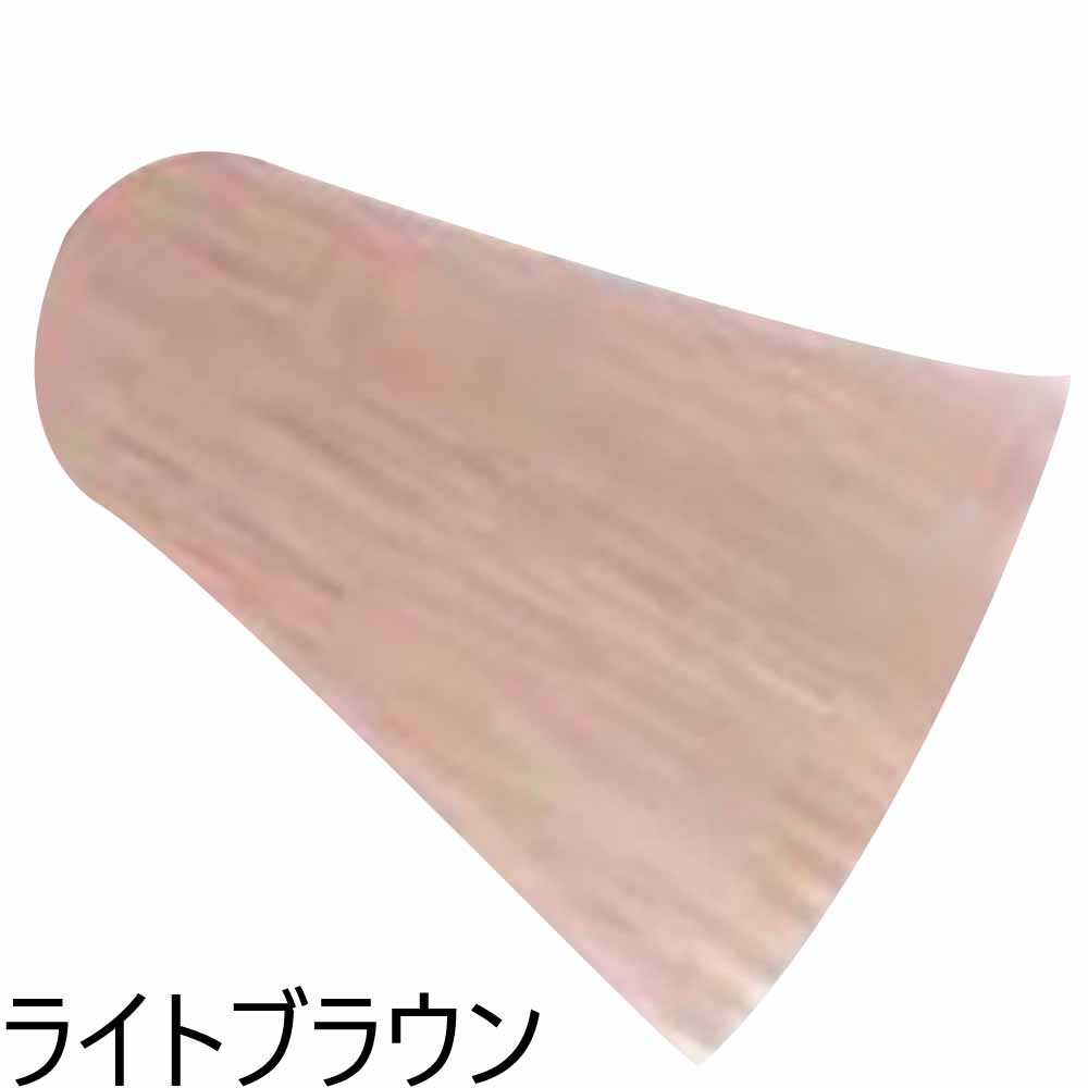 ルベル ロコル ニュアンスライン Brown ブラウン / 300g 【 ヘアカラー カラートリートメント 】 | LebeL | 02